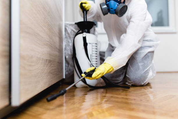 Best Best Pest Control Companies  in Hales Corners, WI