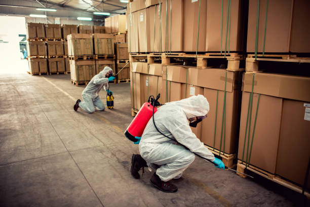 Best Pest Removal Services  in Hales Corners, WI