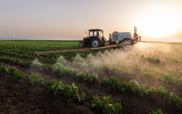 Best Commercial Pest Control Services  in Hales Corners, WI