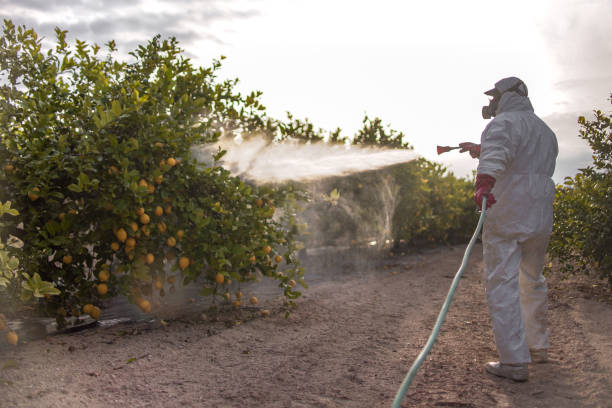 Best Pest Control Treatment  in Hales Corners, WI